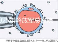 2025年解放軍總醫院第七醫學中心做試管嬰兒的費用明細,現在做試管多少錢?