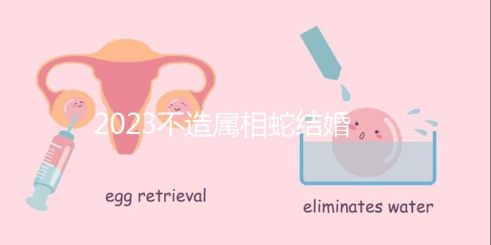 2023不造屬相蛇結(jié)婚跟什么相配？切記和屬豬易犯沖