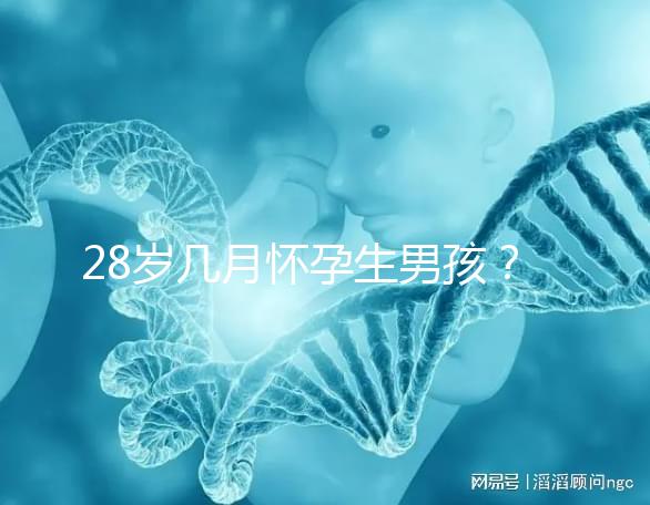 28歲幾月懷孕生男孩？2023年生男孩的月份表看這里