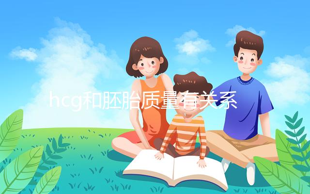 hcg和胚胎質量有關系？hcg低并不一定是胚胎不好！