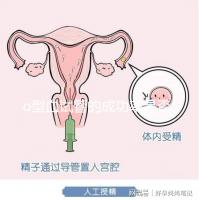 o型血試管的成功率是否高取決于這一點分享真正好的懷孕案例